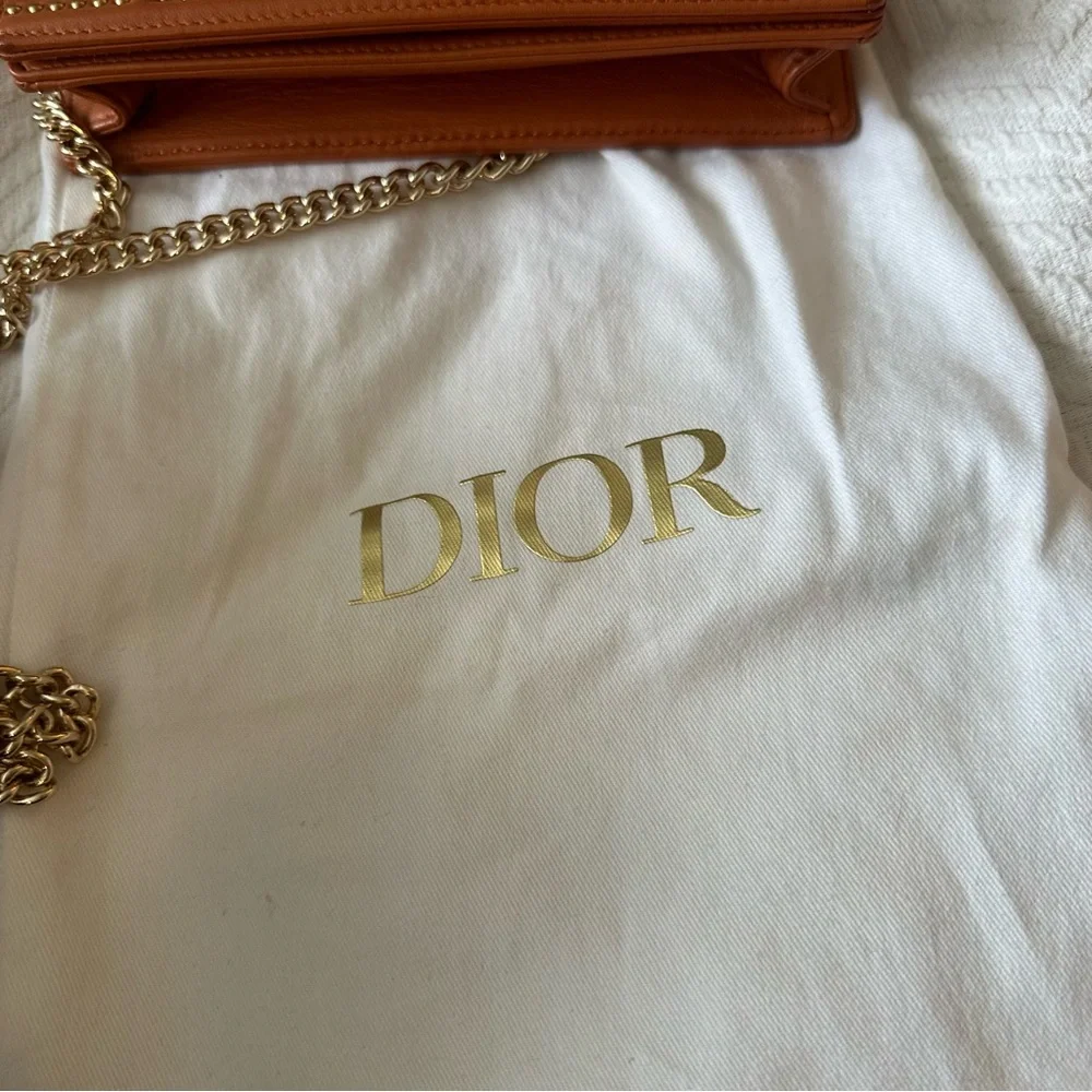 Diorama Studded Mini Bag - Picture 13 of 15
